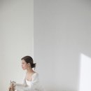 스튜디오피네