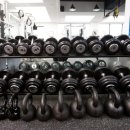 BL휘트니스 이미지