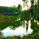 장자호수공원 이미지