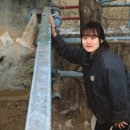 애완동물원 이미지