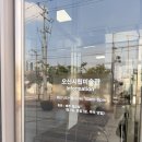 시립생명숲어린이집 | 구스타프 클림트 레플리카전 | 오산시립미술관 무료 전시 오산 데이트 추천