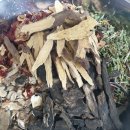 분당마중한의원 이미지