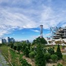 마포새빛문화숲 이미지