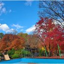 반딧불자연캠핑장 이미지