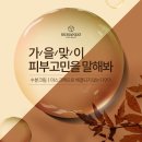 에스에스(SS) 이미지