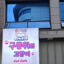 구름위의고양이 이미지