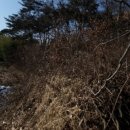 우두2통 이미지