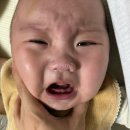 양덕동196 | [육아일기-10] 생후6개월 일상