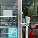 뽐내고 싶은 날