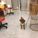 네일송송 이미지