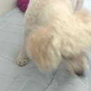 [월:상] 블로그 밀렸는데 이 정도일 줄은 몰랐던 사람이 쓰는 8월 시작로그 | 불닭볶음탕면 | 까르보...