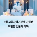 5월 고향사랑기부제 기획전에서 만나는 특별한 선물과 혜택
