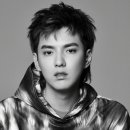 전 엑소 멤버 크리스(우이판) 중국 미성년자 성폭행 의혹, 프로필 인스타그램 사형가능성? 나무위키