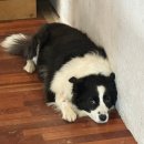 엔젤소아청소년과의원 이미지