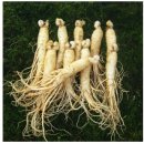 수삼랜드 이미지