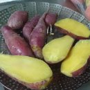 승우농장 이미지