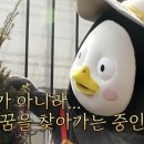 범이와