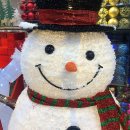 화이트포메라니안 이미지