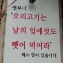 오리궁디 이미지