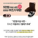 구두고양이