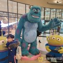 퍼피아울렛코리아 이미지