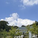 호수영 | 청주 상당구 가볼 만한 곳 청남대 대통령 별장 산책로