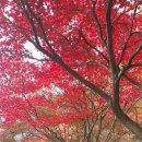 느린산책