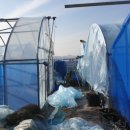 일중농장 이미지