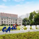 중앙대학교 이미지