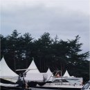 드루와 놀이터 | 일상의 피로를 풀기 좋은 양양애견팬션, 바다와 가까운 드루와 놀이터에서 찾은 힐링의 시간