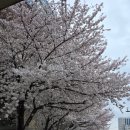 온양역길 이미지