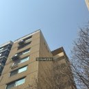 압구정-115 이미지