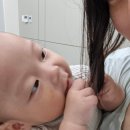 (주)다우진유전자연구소 | 단 2~3일! 빠르고 정확한 친자확인 검사, 내돈내산 직접 다녀온 후기