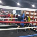 와룡복싱 이미지