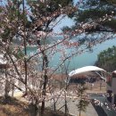 국민여가캠핑장 이미지