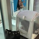 하트온동물병원 이미지