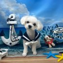 까까멍멍 이미지