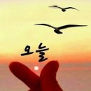 (주)이야기 Daum카페
