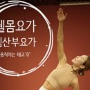 웰몸