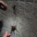 황토민박 이미지