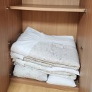 서해유치원 | 보령 무창포 비체팰리스 27평 후기, 6세 아이와 첫 갯벌체험, 조개를 못 캔 결정적 이유!