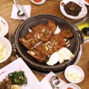 시청 소나무 이미지