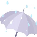 온천천시민공원 수국 이미지