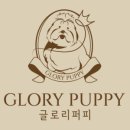 글로리퍼피 이미지