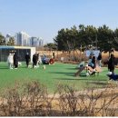 국제카정비 이미지