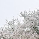 얼음골펜션 이미지