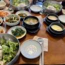 대전브라운도트 월평점 이미지