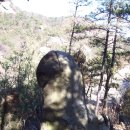 450. 제37차 관악산 등산후기(11.28 수)