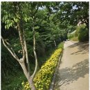 남양시장로66번길 | 군포아로마테라피 군포 부곡동 에이스 마사지샵 후기