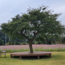 송당리경로당 이미지